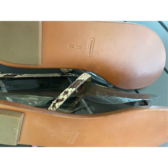 NWT Coach Sieannah Snake  Print Leather Thong sandals 11B - Picture 6 of 11
